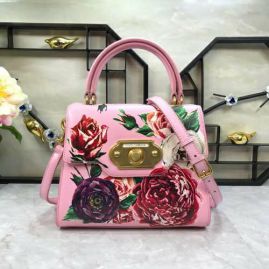 Picture of DG Lady Handbags _SKUfw66297558fw